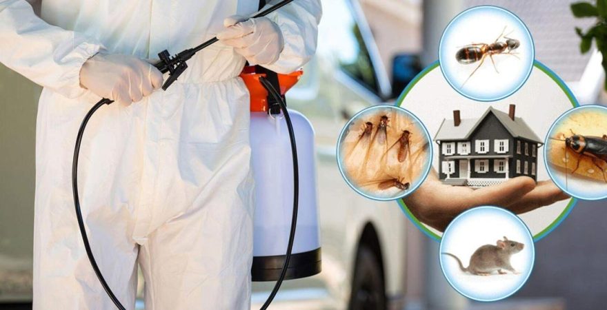 Anamur Böcek İlaçlama