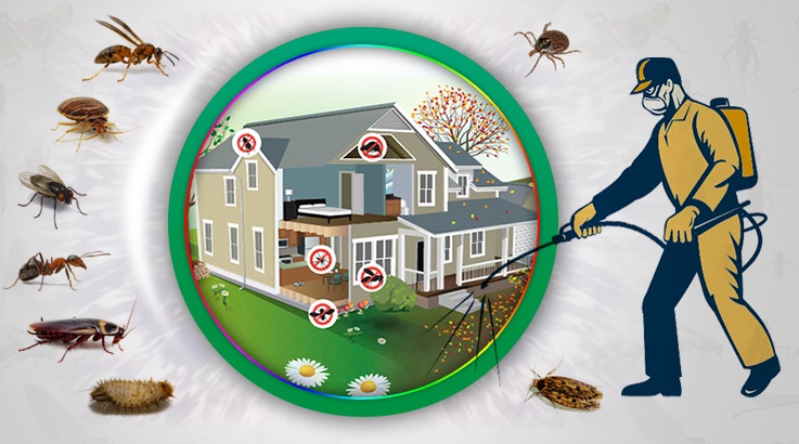 Anamur Böcek İlaçlama