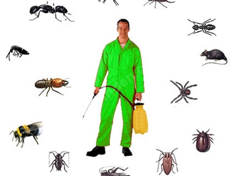 Anamur Böcek İlaçlama